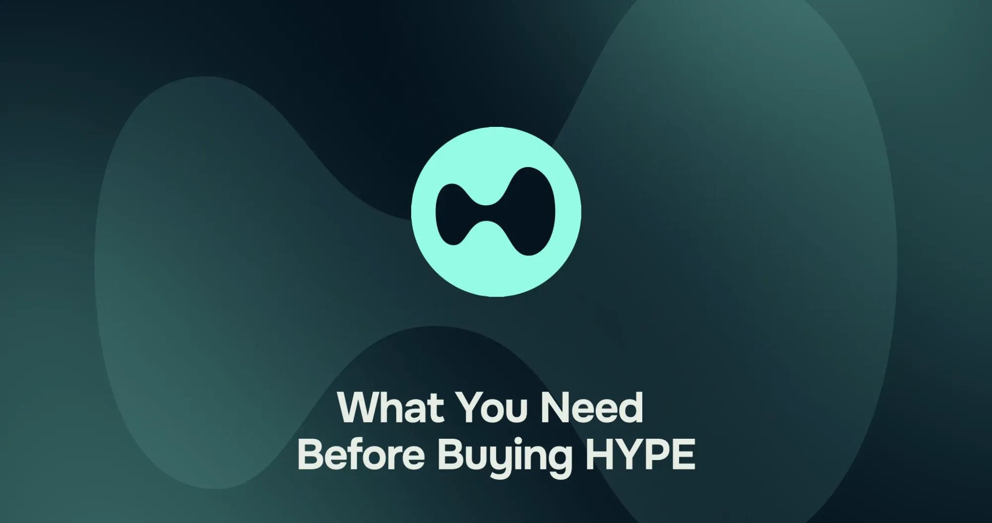 What You Need Before Buying HYPE