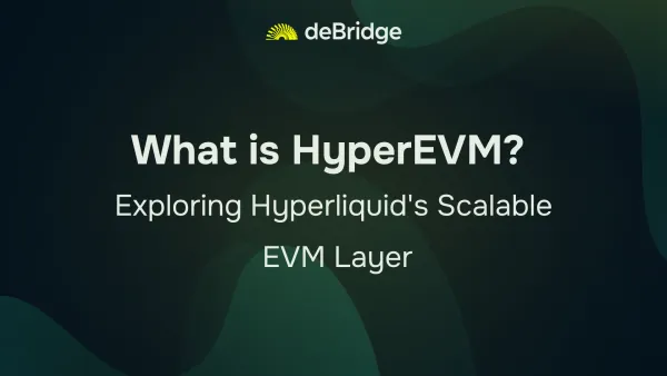 A detailed guide on HyperEVM